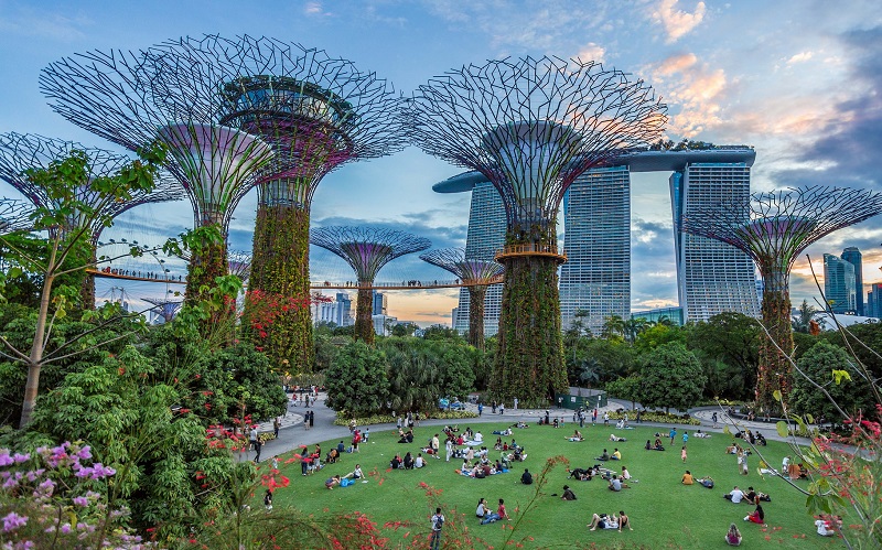 сады у залива сингапур