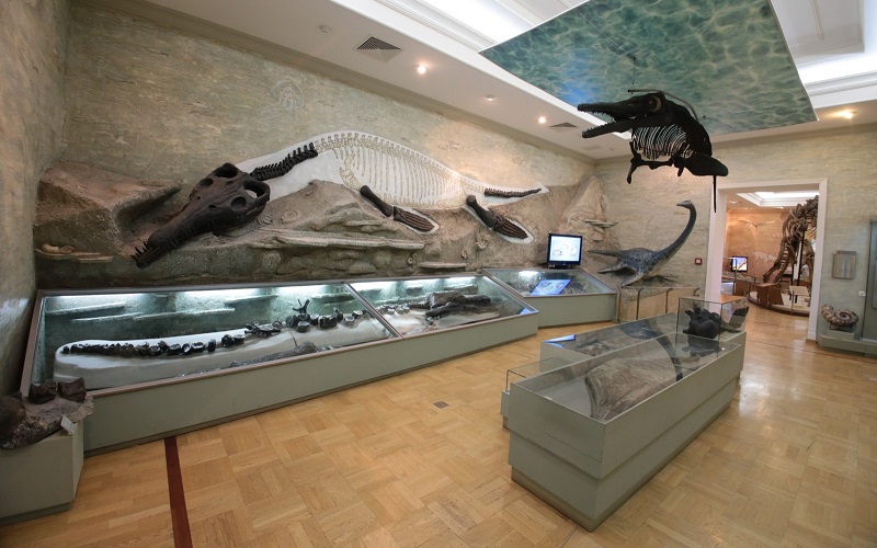 музей естественной истории татарстана
