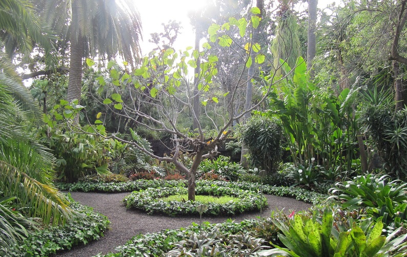 ботанический сад тенерифе