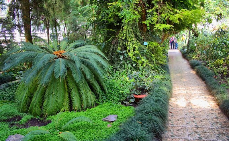 ботанический сад уфы
