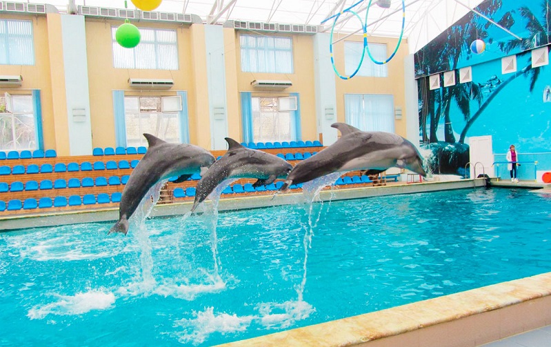 кисловодский дельфинарий