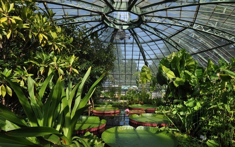 ботанический сад базельского университета