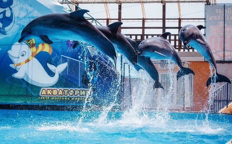 театр морских животных «акватория»