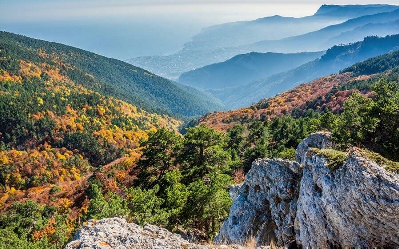 ялтинский горно-лесной природный заповедник