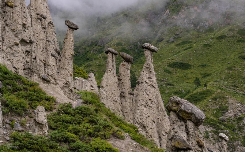 каменные грибы в долине сотеры