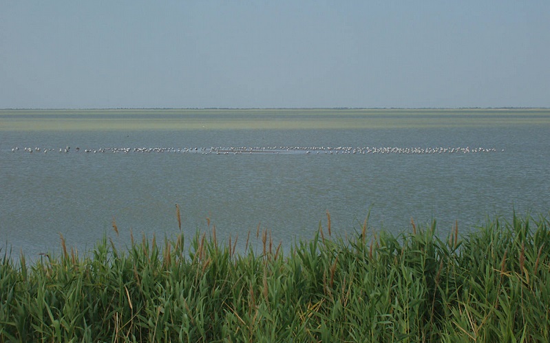 озеро ханское ейский