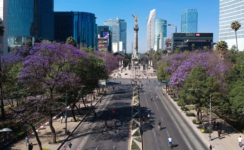 проспект реформы в мехико