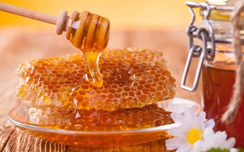 мед сочи