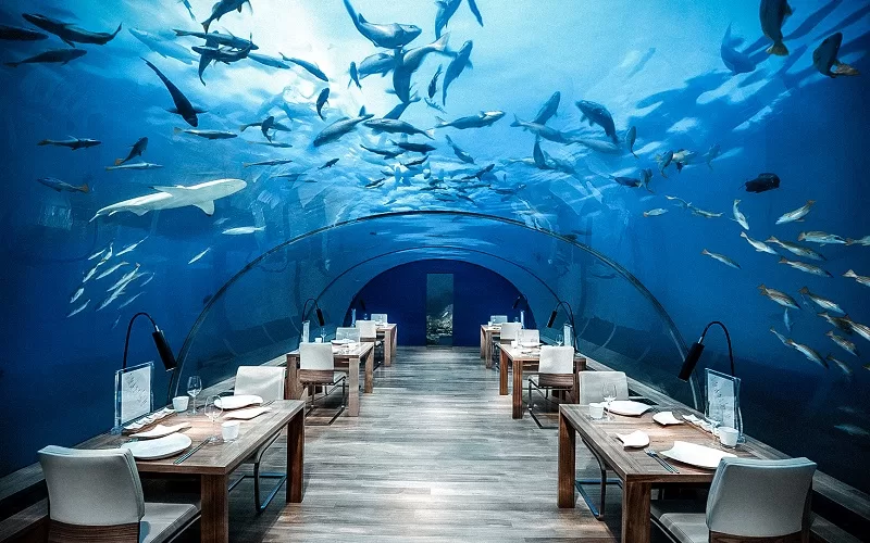 подводный ресторан ithaa