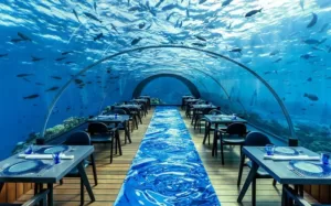 подводный ресторан на мальдивах